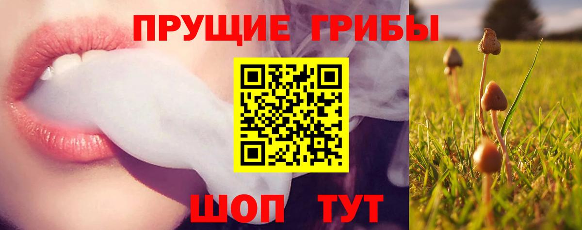 Галлюциногенные грибы ЛСД Солнечногорск