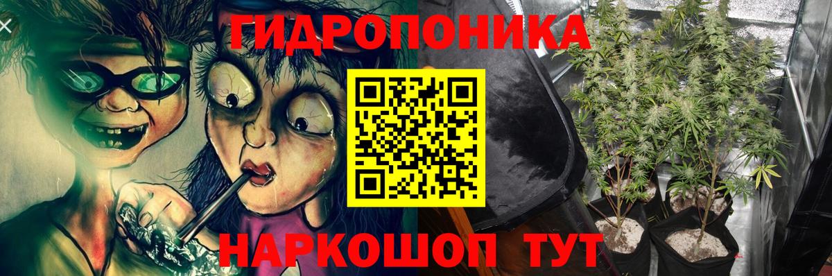 Бошки марихуана Amnesia Солнечногорск
